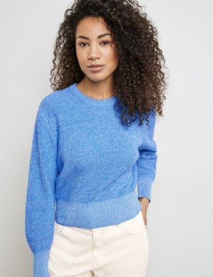 TAIFU Cotton rib knit jumper Strikkevarer Blå | FVXI3591